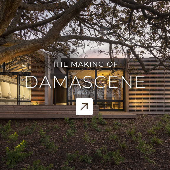 Onyx Architects and Interior Design Studio in Cape Town