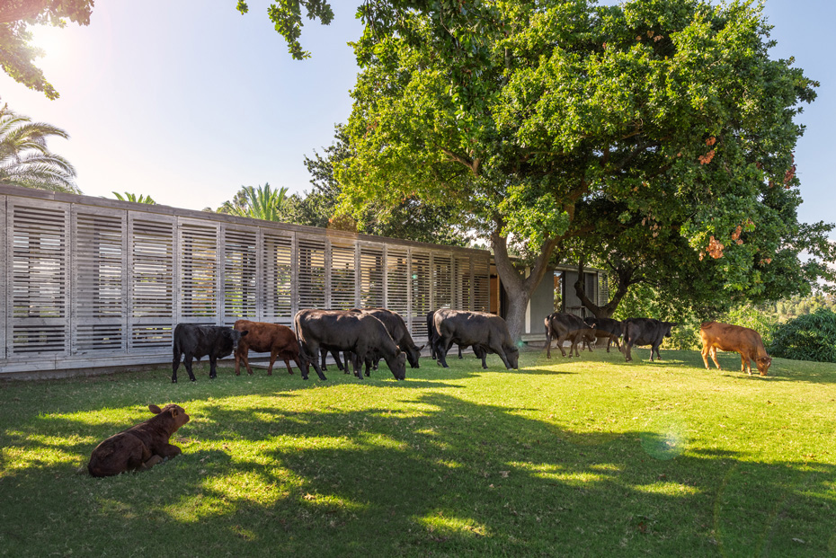 Onyx Architects and Interior Design Studio in Cape Town