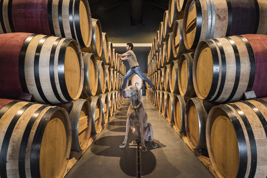 Onyx Architects and Interior Design Studio in Cape Town, Moya Meaker Winery