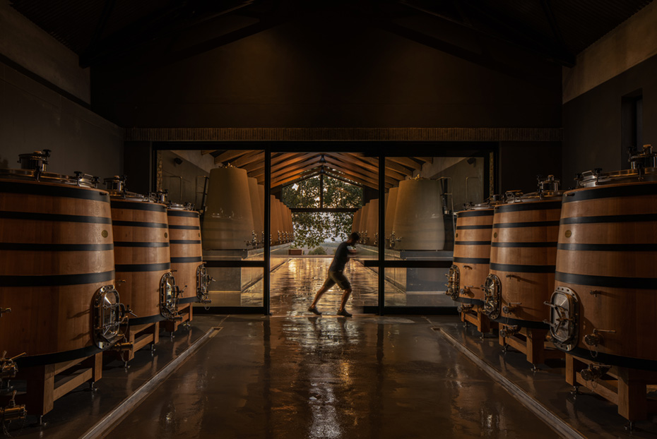 Onyx Architects and Interior Design Studio in Cape Town, Moya Meaker Winery